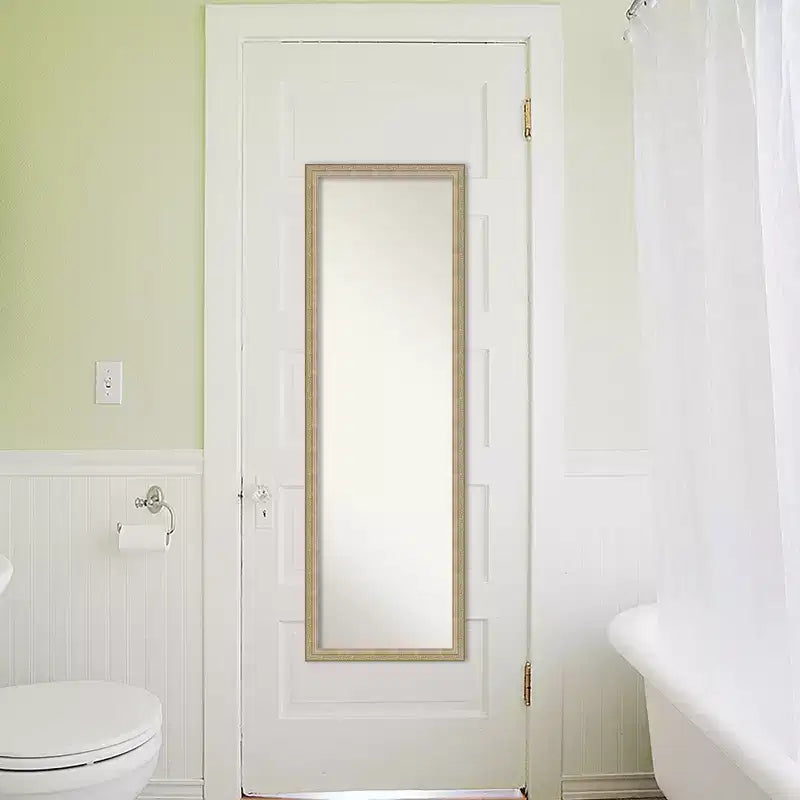 Miroir mural pleine longueur, cadre couleur champagne, 50,25" x 16,25"