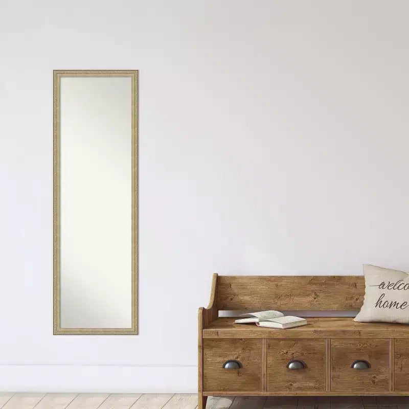 Miroir mural pleine longueur, cadre couleur champagne, 50,25" x 16,25"