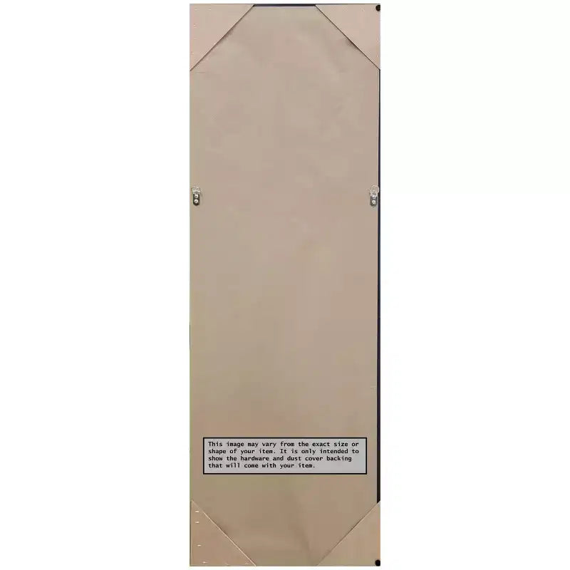 Miroir mural pleine longueur, cadre couleur champagne, 50,25" x 16,25"